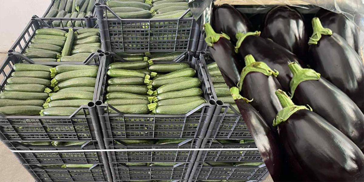 La Borsa della Spesa: buona produzione di melanzane e zucchine a 0,80 €/kg